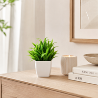 The Artificial Potted Plant Collection