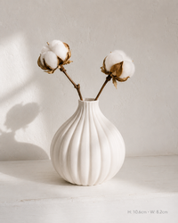 Ribbed Globe ceramic vase with cotton stems