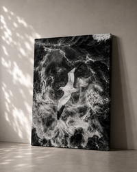 The Monochrome Print