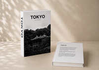 Matisse Duo decorative book set styled on cream shelf with sculptural object