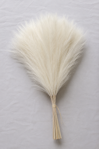 The Pampas Grass Bundle