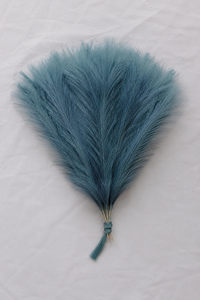 The Pampas Grass Bundle