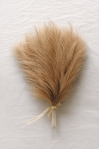 The Pampas Grass Bundle