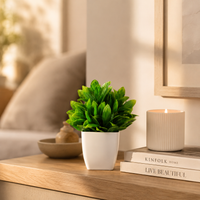 The Artificial Potted Plant Collection