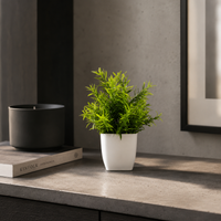 The Artificial Potted Plant Collection