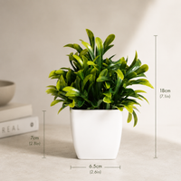 The Artificial Potted Plant Collection