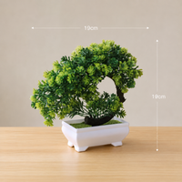 Twin Bonsai artificial tree with measurements 20cm x 20cm — Decorus Designs