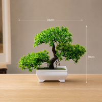 Twisted Bonsai artificial tree with measurements 26cm x 19cm — Decorus Designs